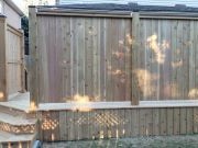 Cedar Deck