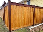 Fence