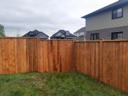 Fence