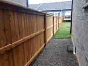 Fence