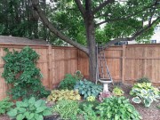 Fence