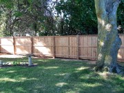 Fence