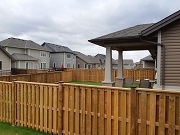 Fence