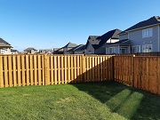 Fence