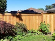 Fence