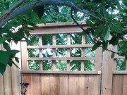 Fence gate