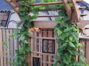Sheed, Privacy screen, Deck stairs