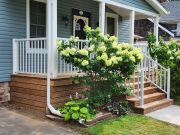 Deck, Porch